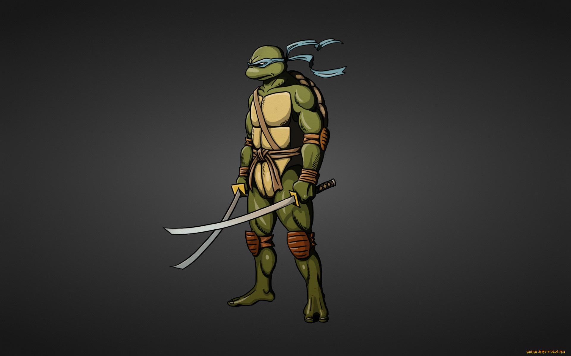  , , , tmnt, , , teenage, mutant, ninja, turtles